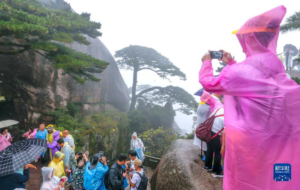 永利总站线路